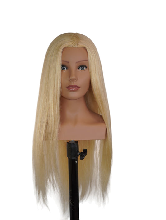 Glamstock Mannequin Head | Blonde (240g)