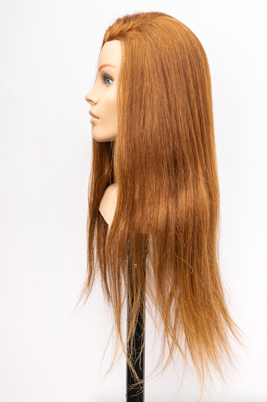 Glamstock Mannequin Head | Espresso Brown (260g)